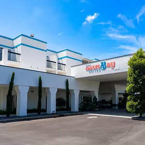 https://oasis-bay-suites-tampa-busch-gardens-usf.hotelstampa.org